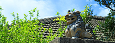 Okinawa