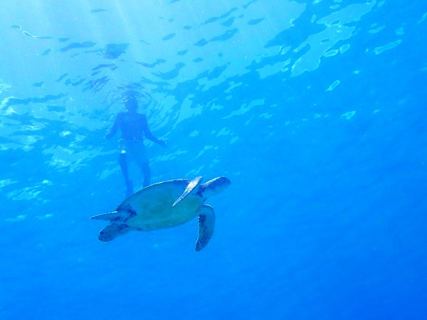 水納島の綺麗な海を満喫