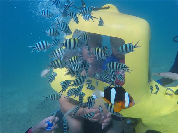 魚に餌やりも♪
