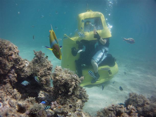 大きな魚が間近で見れるかも！