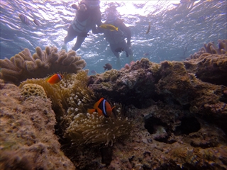 水中の中はリアル水族館の世界！