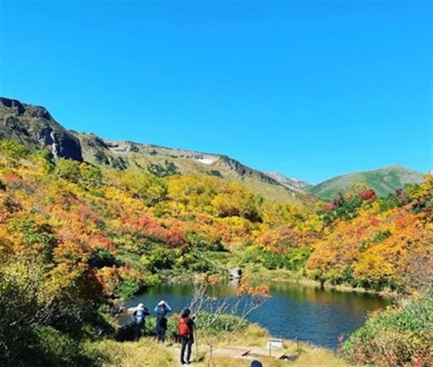 黄色の紅葉に映える沼の美しさは一級品！