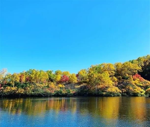 池に映える紅葉