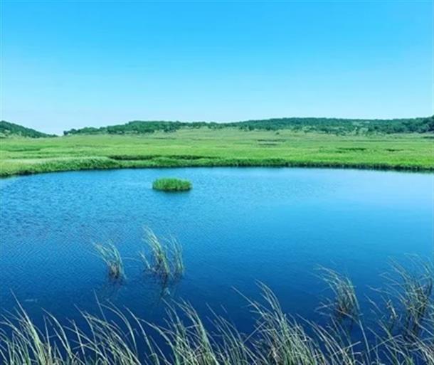 北の尾瀬と呼ばれる高層湿原