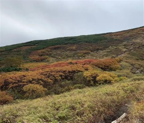 9月中旬〜下旬までと長く紅葉を楽しめます
