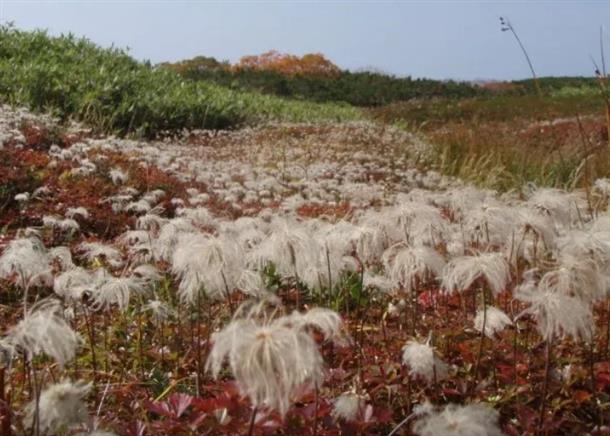 美しい自然を満喫。