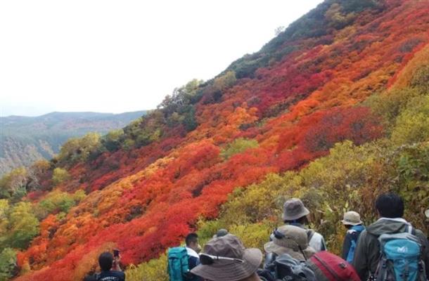 日本一早い紅葉が楽しめる黒岳。