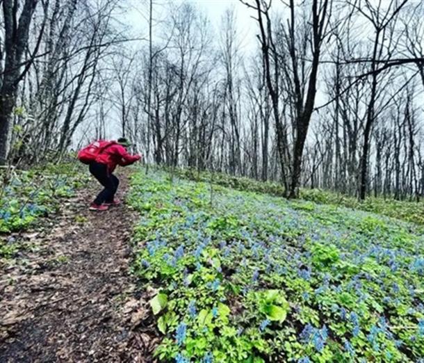 まったり花を愛でながらハイキング♪