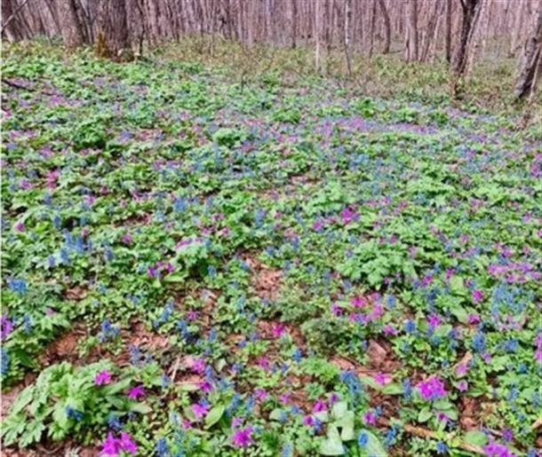 山歩きのポイントもレクチャー