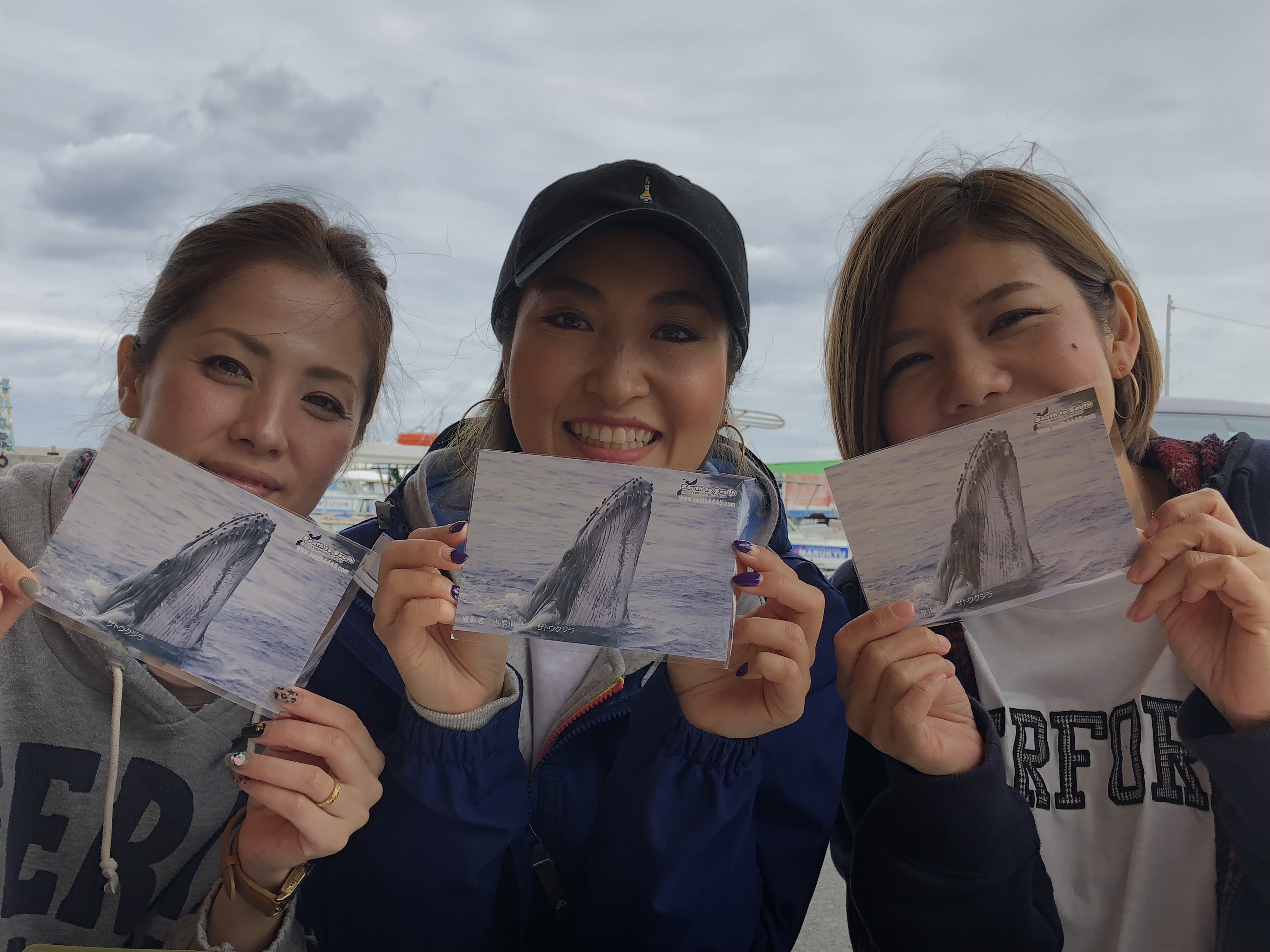 ポストカードプレゼント