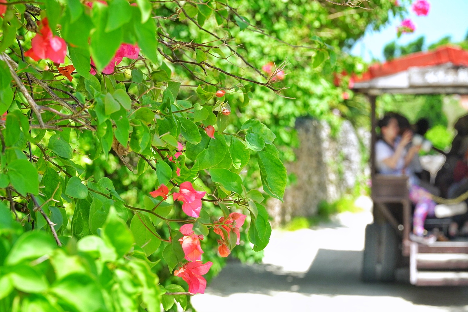 竹富島でロケーションフォト