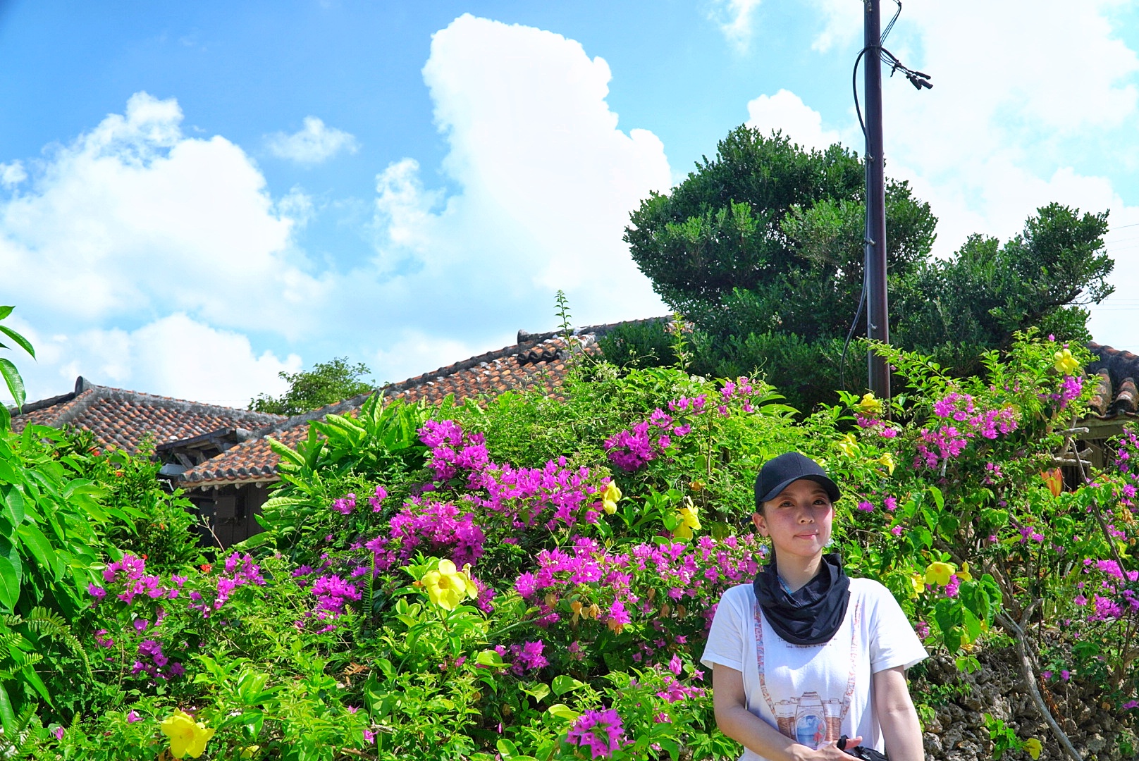 いろんなシーサーを探してみよう！