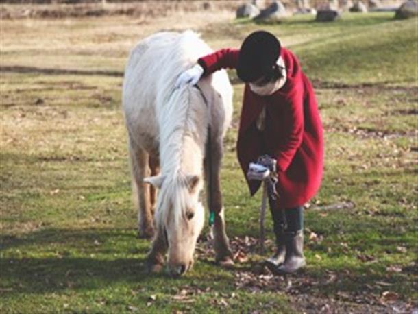 静寂の中で馬と触れ合う時間