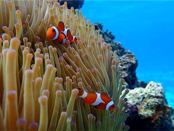 2ポイントで贅沢に!!