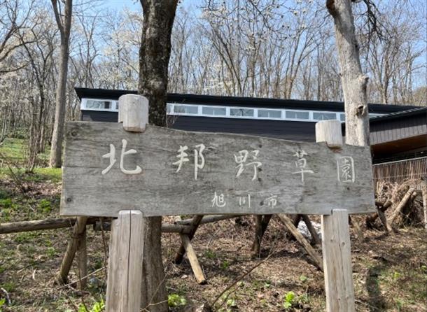 自然と歴史の融合