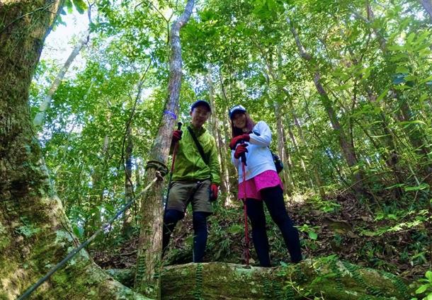マイナスイオンたっぷりな森