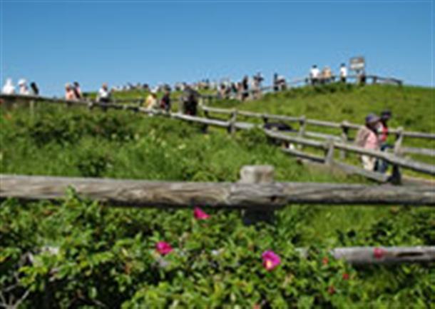 6－8月に見頃を迎える小清水原生花園