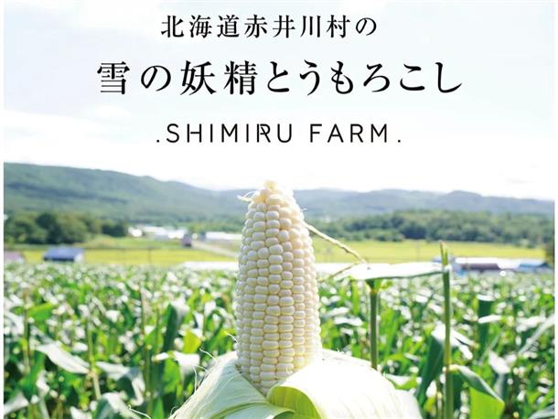 雪の妖精とうもろこし
