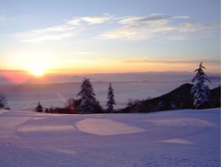 富良野スキー場