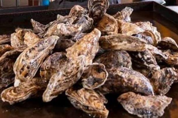 元祖かき小屋の45分かき食べ放題