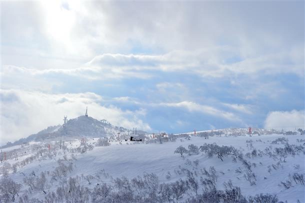 ニセコスキー場