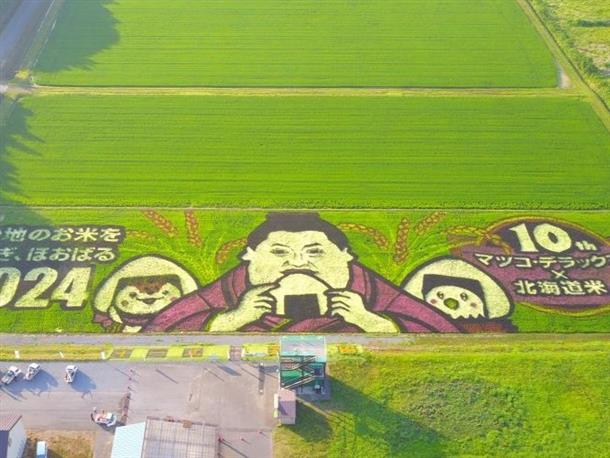 6色に彩る田んぼアート※写真は2024年