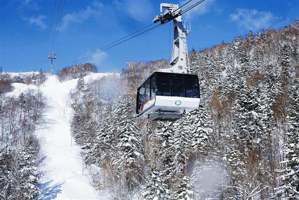 いつ来ても最高の雪質が出迎えてくれる