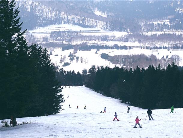 初心者でも山頂から 滑れるコースも