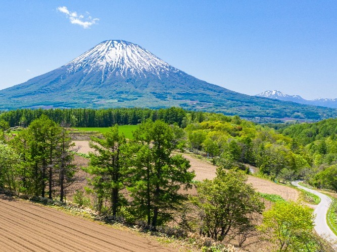 羊蹄山