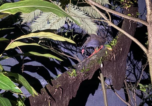 安田くいなふれあい公園