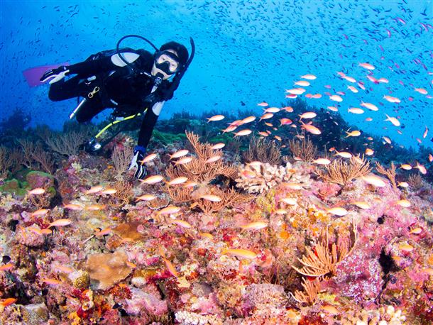 沖縄が世界に誇る慶良間ブルーの海