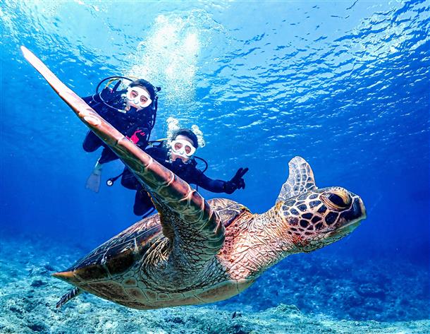 世界に誇る慶良間の海で最高の1日を♪
