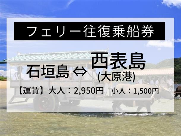 自由に観光できる往復乗船券プラン！