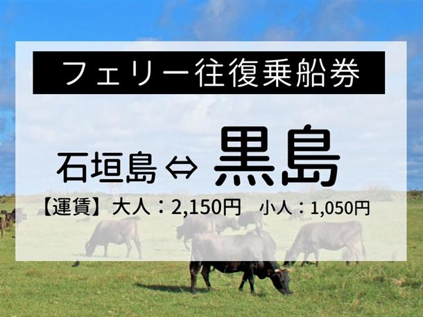 自由に観光できる往復乗船券！