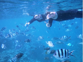 洞窟を出たら魚達と遊ぼう！