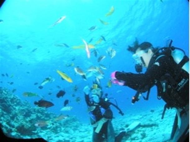 北部の売りは透明度・魚影・サンゴです。