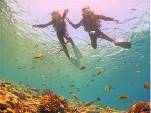 美ら海水族館近くの海でシュノーケル♪