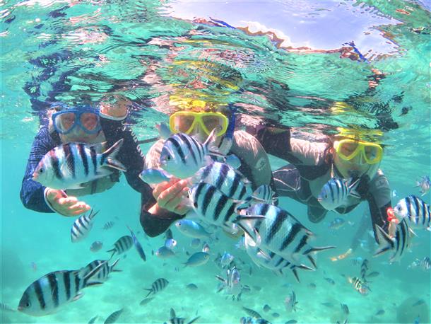 前が見えない魚影の濃さ