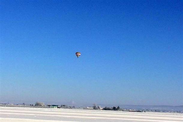 風に乗って自由に大空を飛び回る
