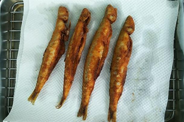釣った魚はその場でから揚げに