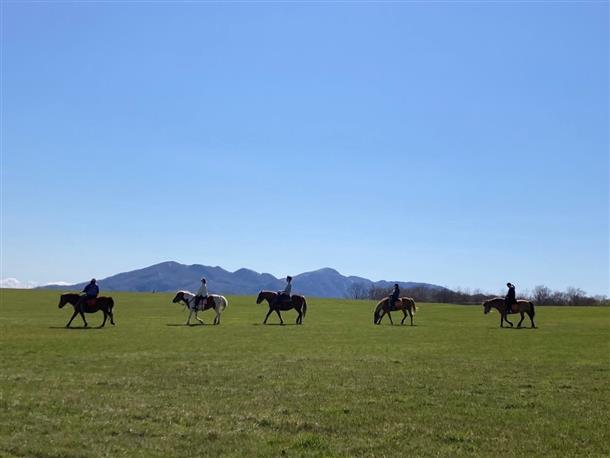 大自然を感じながら馬とともに駆け抜ける