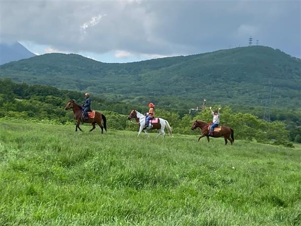 馬の背中は視点が高い！