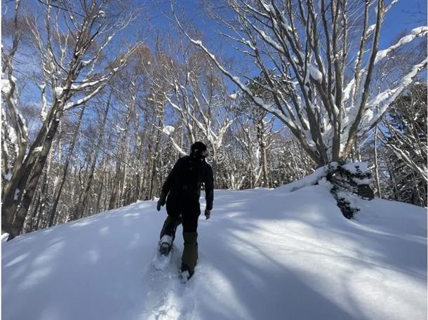 雪原に広がる一歩一歩が冒険の始まり
