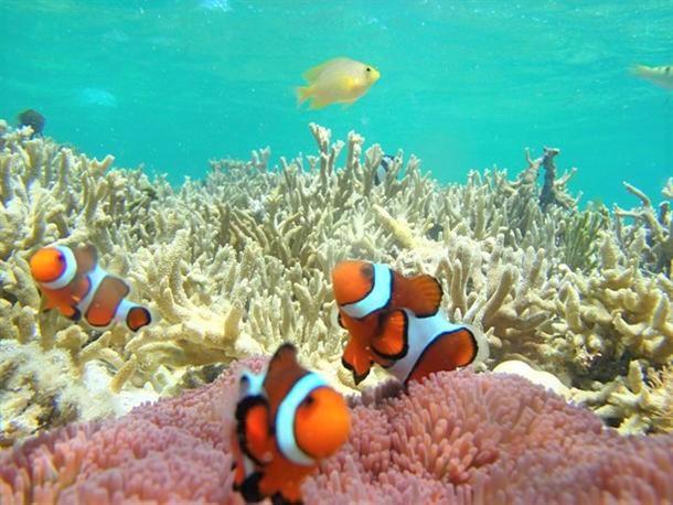 海の上から「二モ」を探してみよう♪