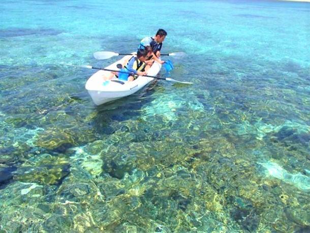 サンゴ礁と熱帯魚が棲む海へ～