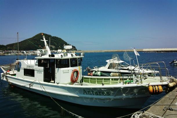 安心の登録済、ベテラン船長の遊漁船