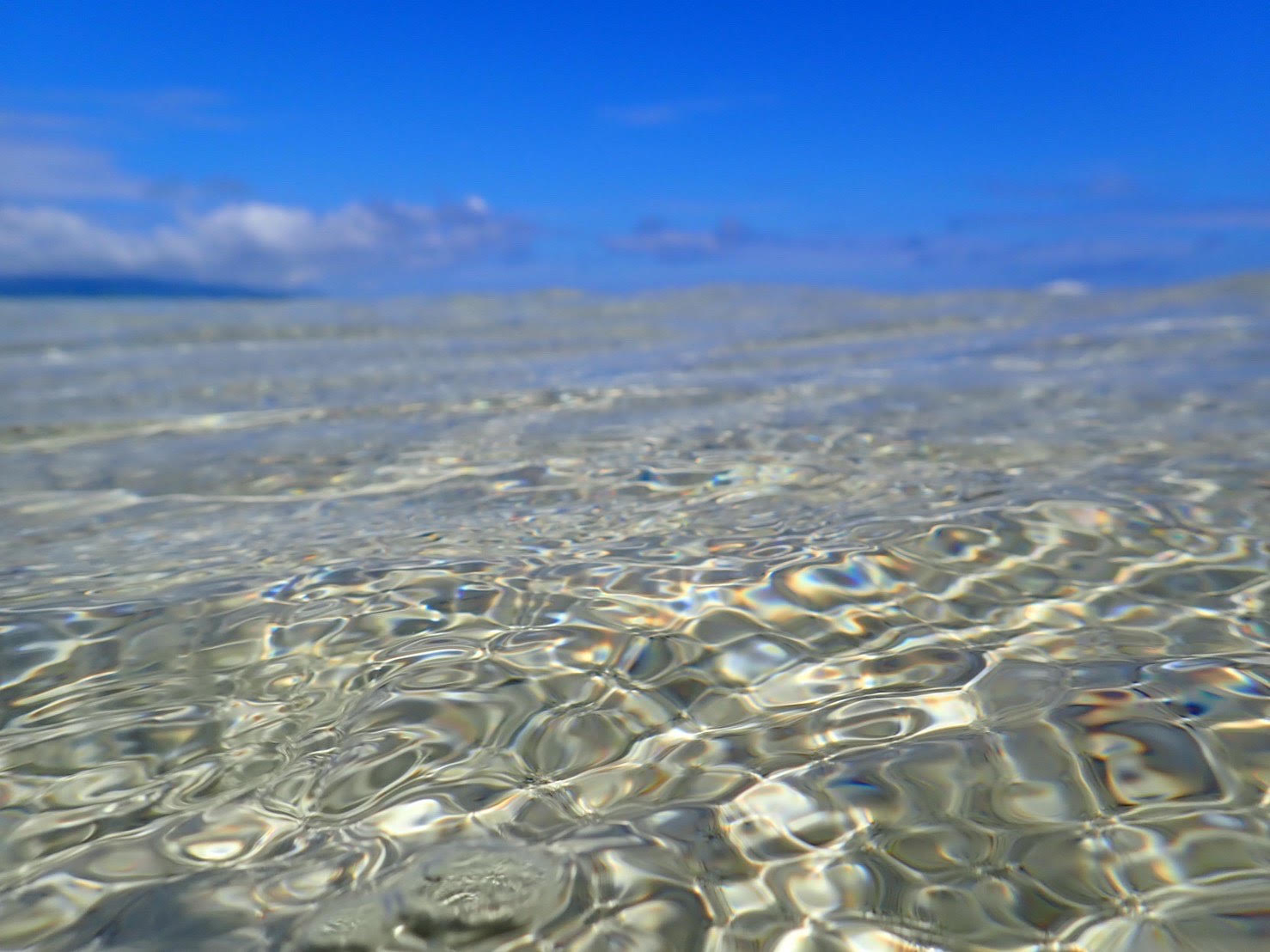 透明度抜群の海はテンション⤴