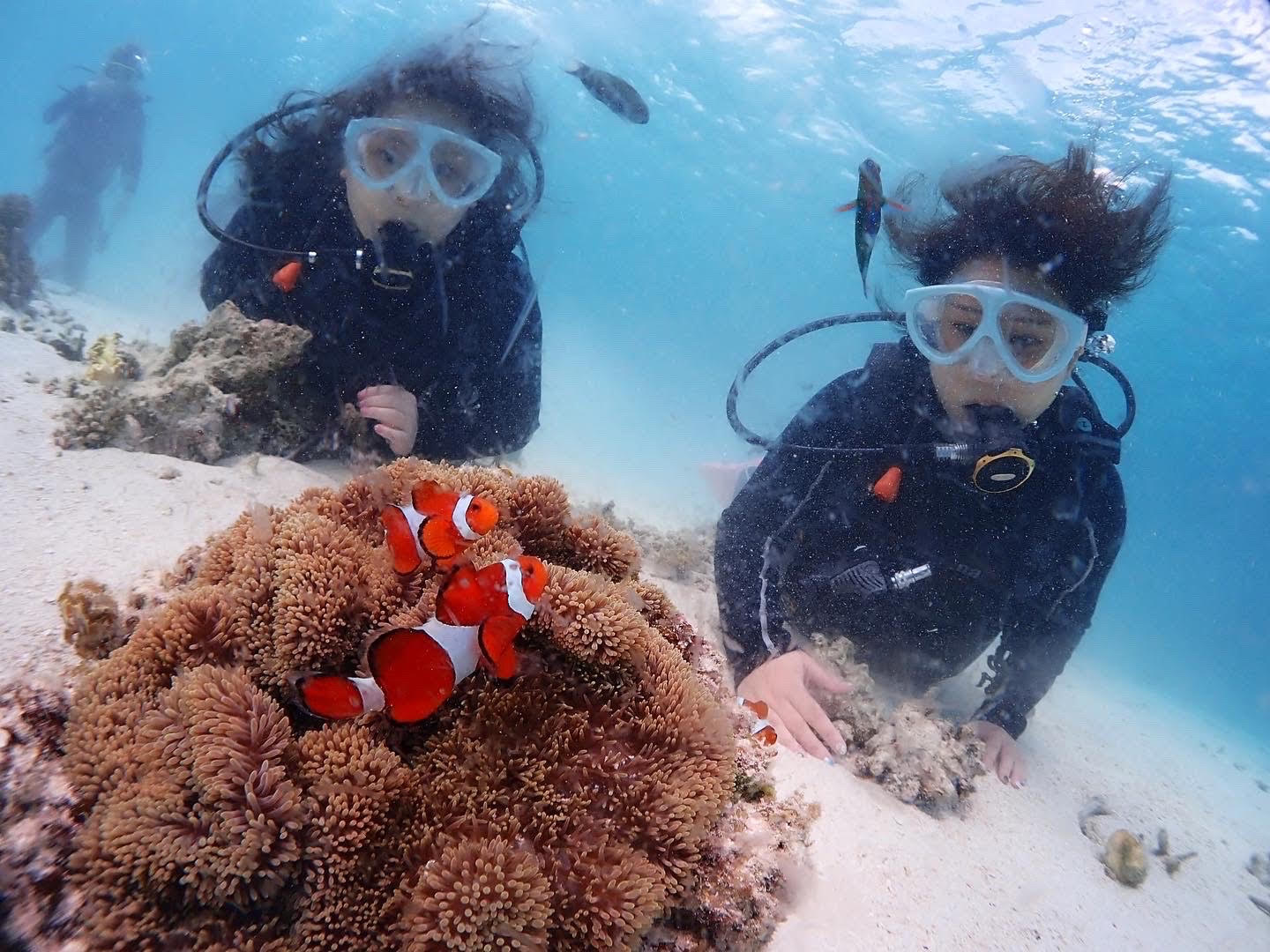 沢山のお魚と身近に触れ合える！