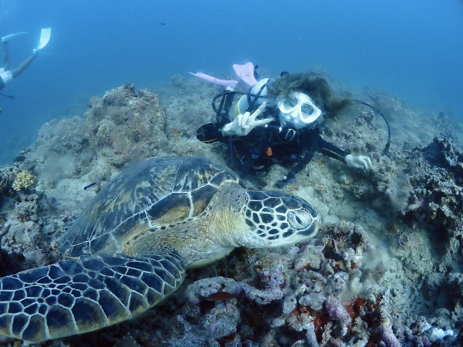 海況次第でウミガメのポイントへ行くことも