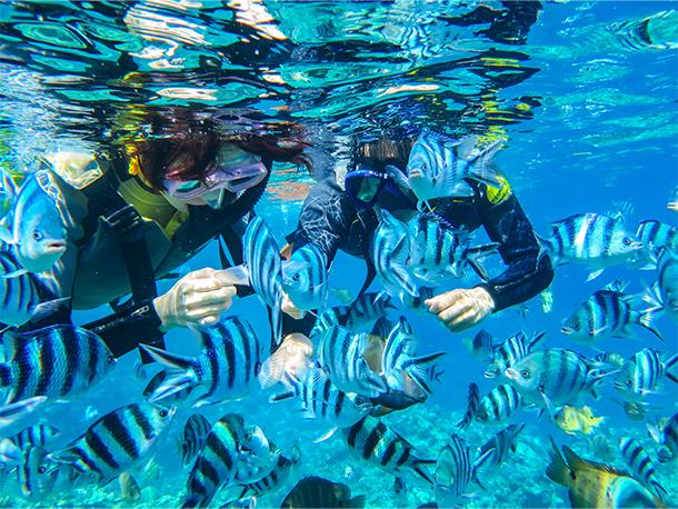熱帯魚たちが目の前に！餌付け体験付き♪